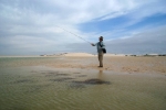 Estuaries and shoreline, Western Cape (12)