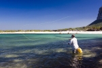 Estuaries and shoreline, Western Cape (19)