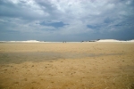 Estuaries and shoreline, Western Cape
