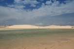 Estuaries and shoreline, Western Cape (27)
