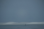 Estuaries and shoreline, Western Cape (28)