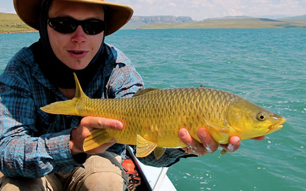 Sterkfontein_Dam_fly_fishing_yellowfish_15